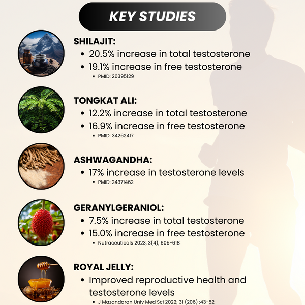 Men's Testosterone Support Complex